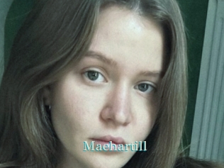 Maehartill