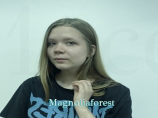 Magnoliaforest