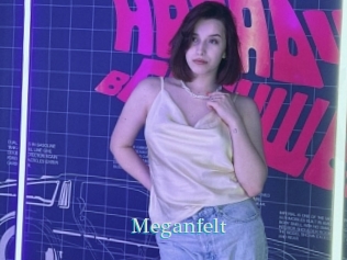 Meganfelt