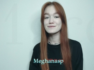Meghanasp