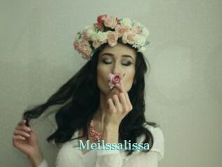 Meilssalissa