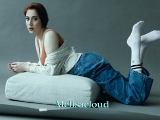 Melisacloud