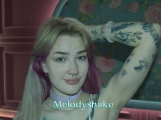Melodyshake