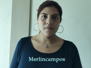 Merlincampos