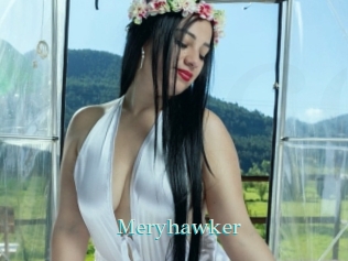 Meryhawker
