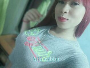 Mia_rabbit