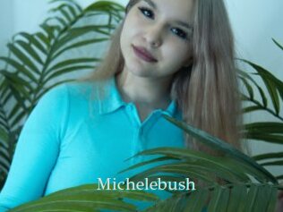 Michelebush
