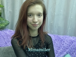 Minamiler