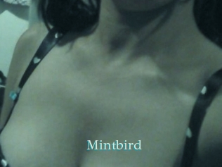 Mintbird