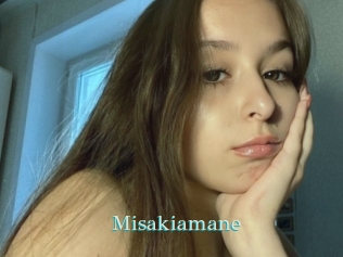 Misakiamane