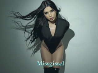 Missgissel