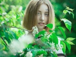 Mollieevans
