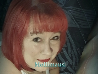 mollimausi 1 grosse cochonne