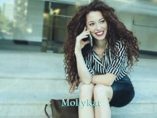 Mollykat