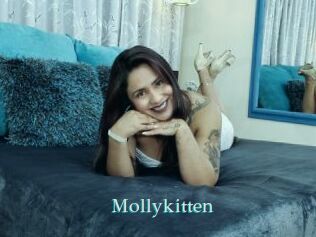 Mollykitten
