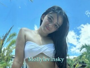 Mollylevinsky