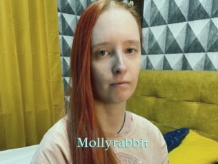 Mollyrabbit