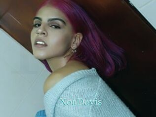 NoaDavis