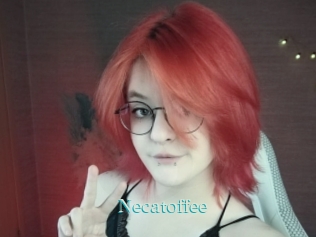 necatoffee 1 grosse cochonne
