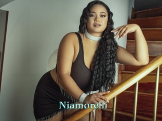niamorelli 1 grosse cochonne