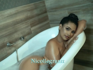 nicollegrantt 1 grosse cochonne