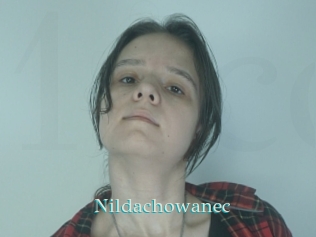 Nildachowanec