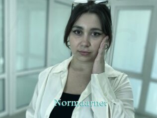 Normaarnet