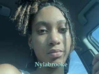 nylabrooke 1 grosse cochonne