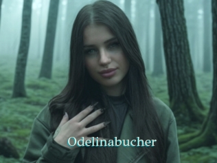 Odelinabucher