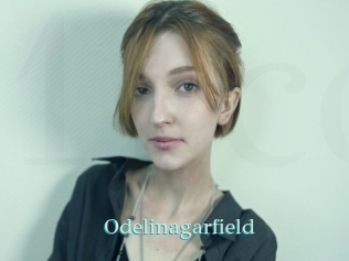 Odelinagarfield