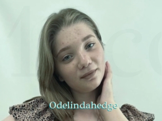 Odelindahedge