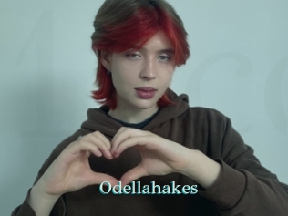 Odellahakes
