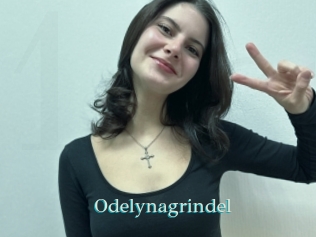Odelynagrindel