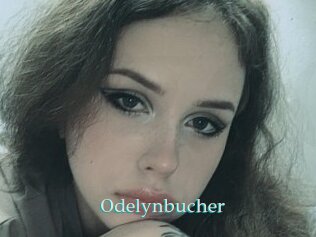 Odelynbucher