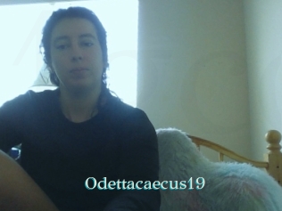 Odettacaecus19