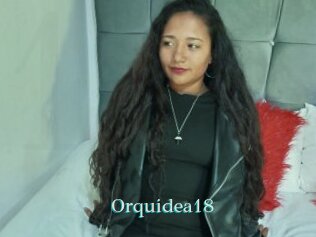 Orquidea18