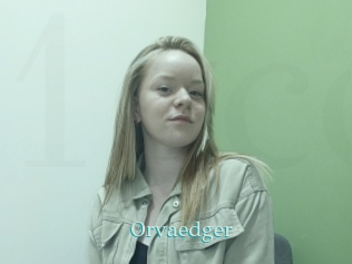 Orvaedger