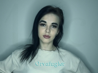 Orvafugler