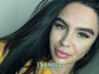Pantera22