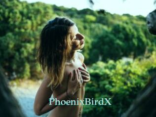 PhoenixBirdX