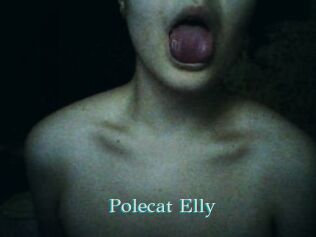 Polecat_Elly