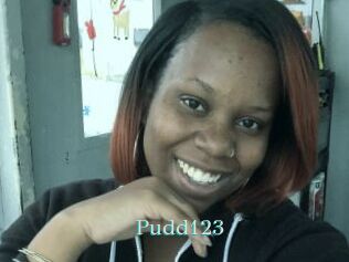 Pudd123