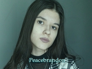 Peacebrandon
