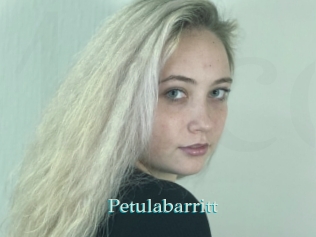 Petulabarritt