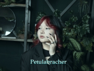 Petulabracher