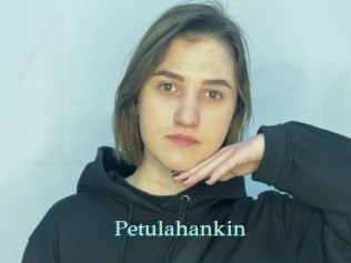 Petulahankin