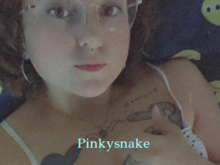 Pinkysnake