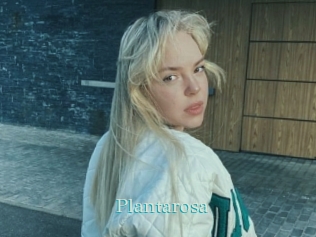Plantarosa