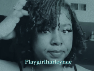 Playgirlharleynae