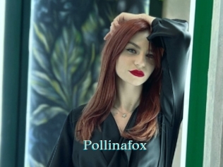 Pollinafox